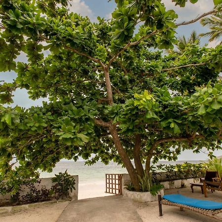 Uroa Beach Lodge Ngoại thất bức ảnh