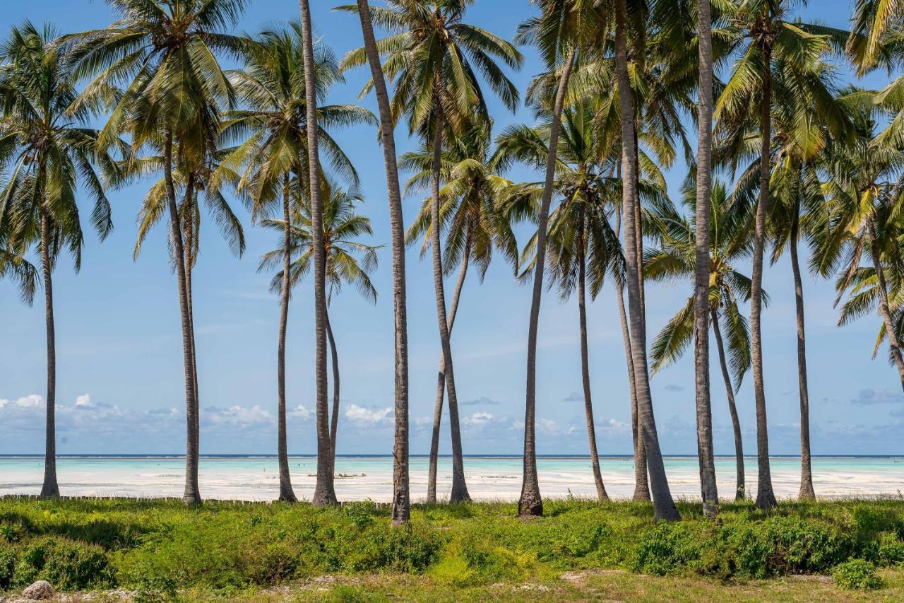 Uroa Beach Lodge Ngoại thất bức ảnh