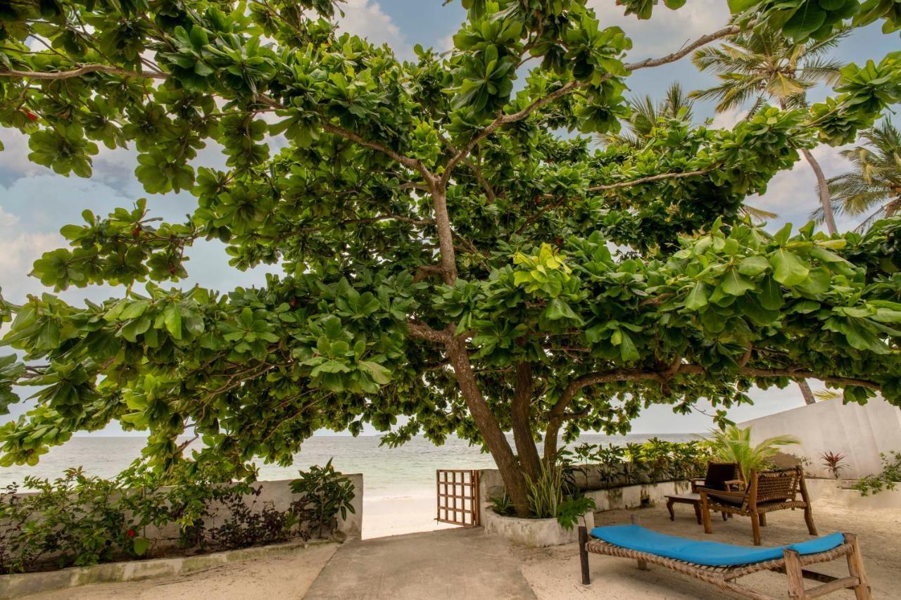 Uroa Beach Lodge Ngoại thất bức ảnh
