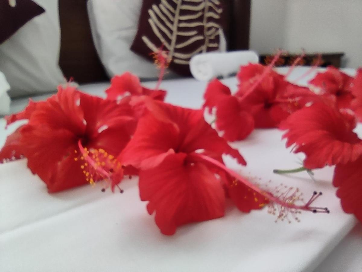 Uroa Beach Lodge Ngoại thất bức ảnh