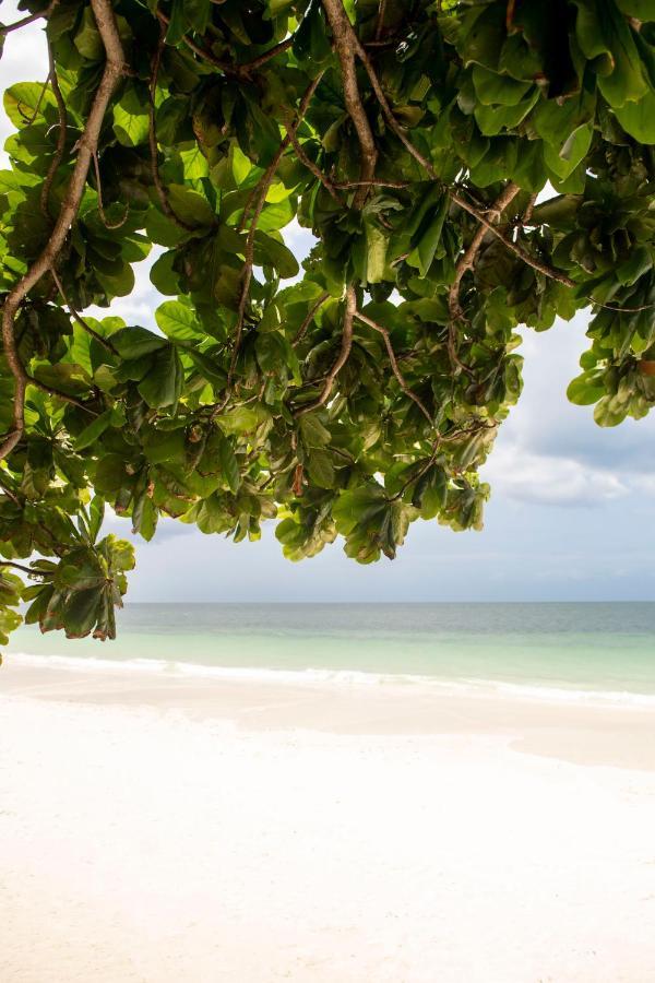 Uroa Beach Lodge Ngoại thất bức ảnh