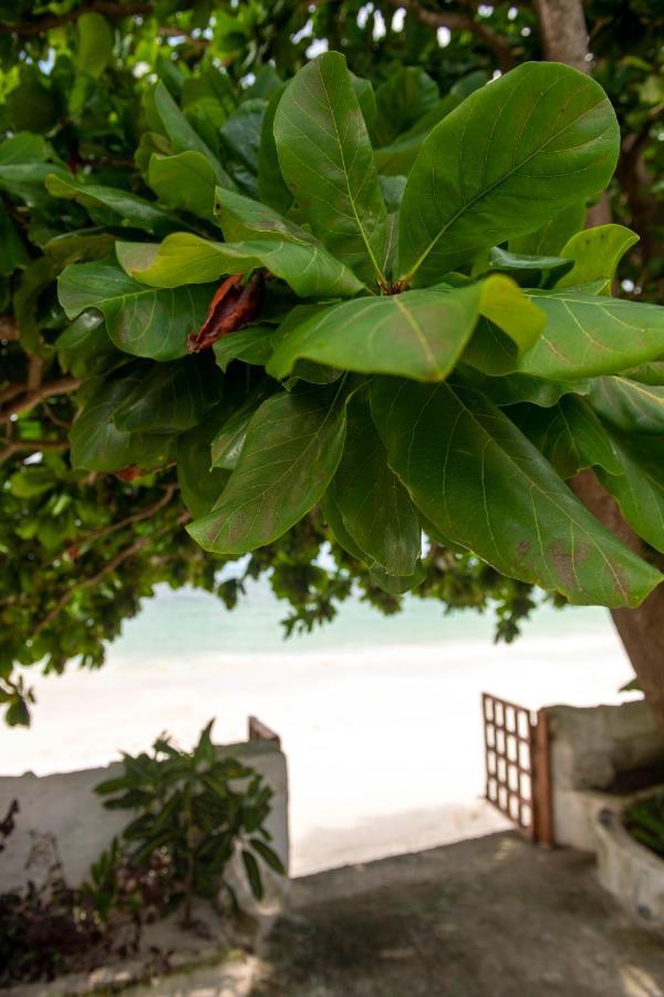 Uroa Beach Lodge Ngoại thất bức ảnh