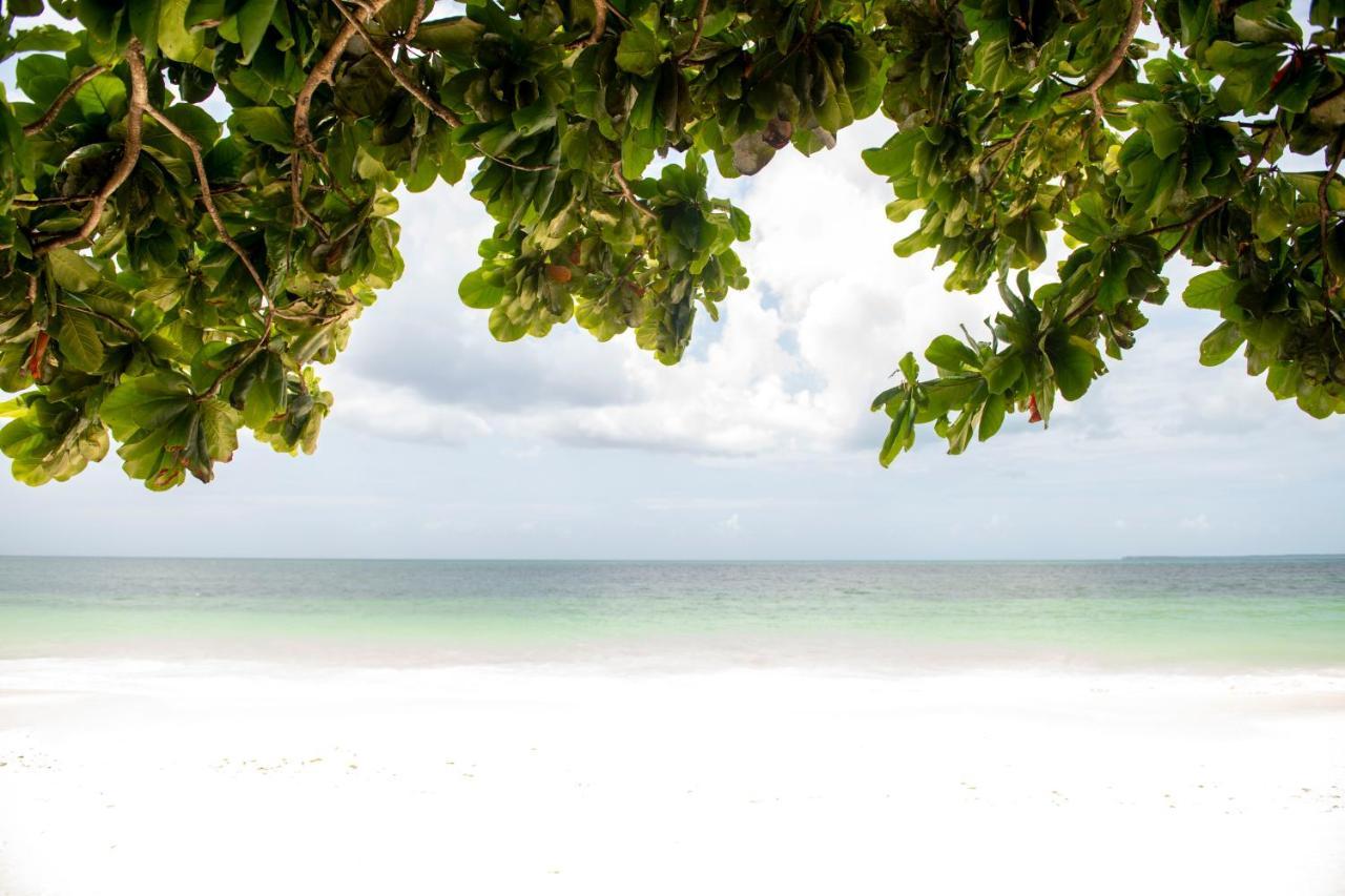 Uroa Beach Lodge Ngoại thất bức ảnh
